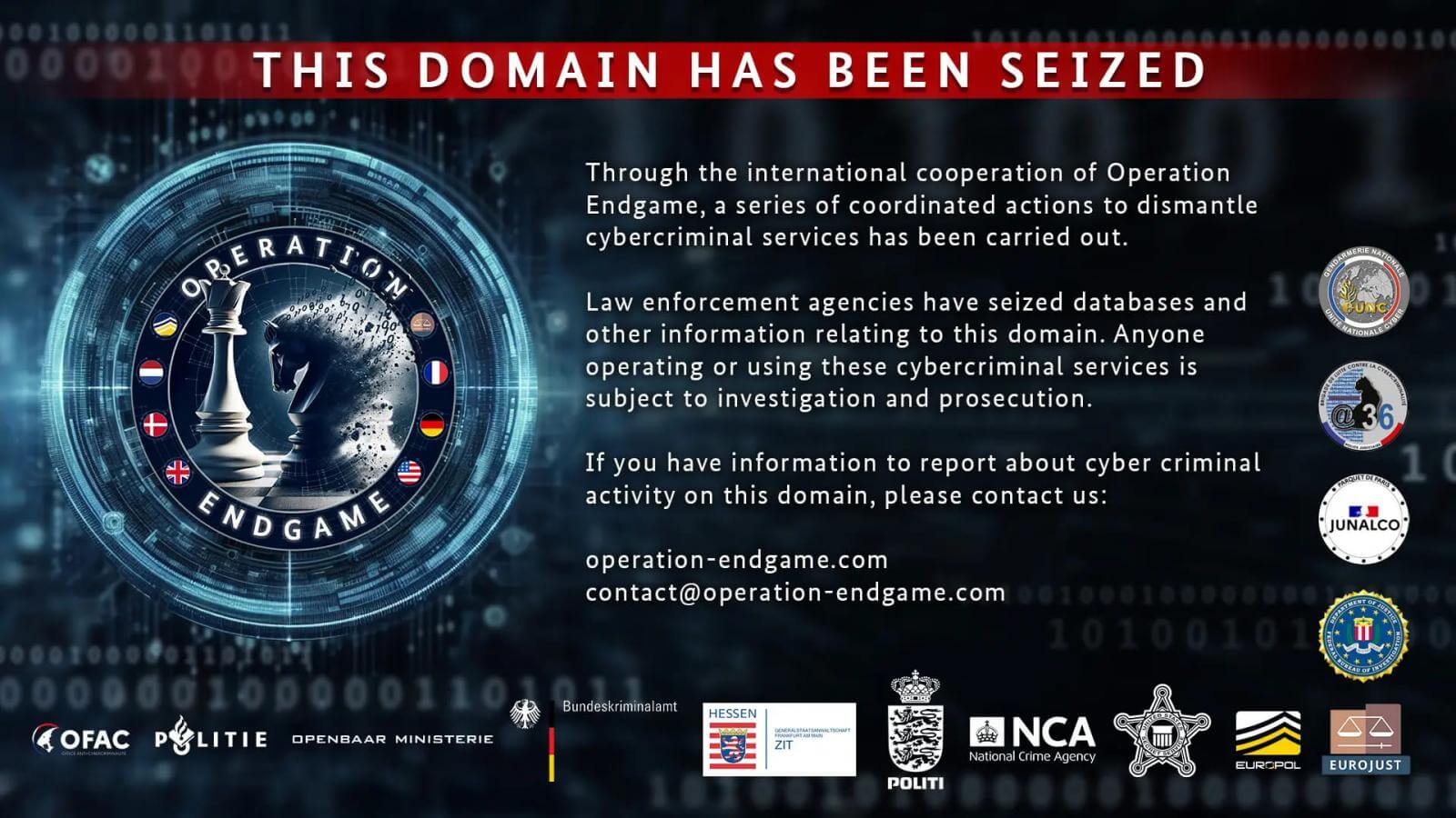 Banner stating 'THIS DOMAIN HAS BEEN SEIZED' with a graphic of chess pieces and digital code in the background. The text explains that through the international cooperation of Operation Endgame, coordinated actions to dismantle cybercriminal services have been carried out. 