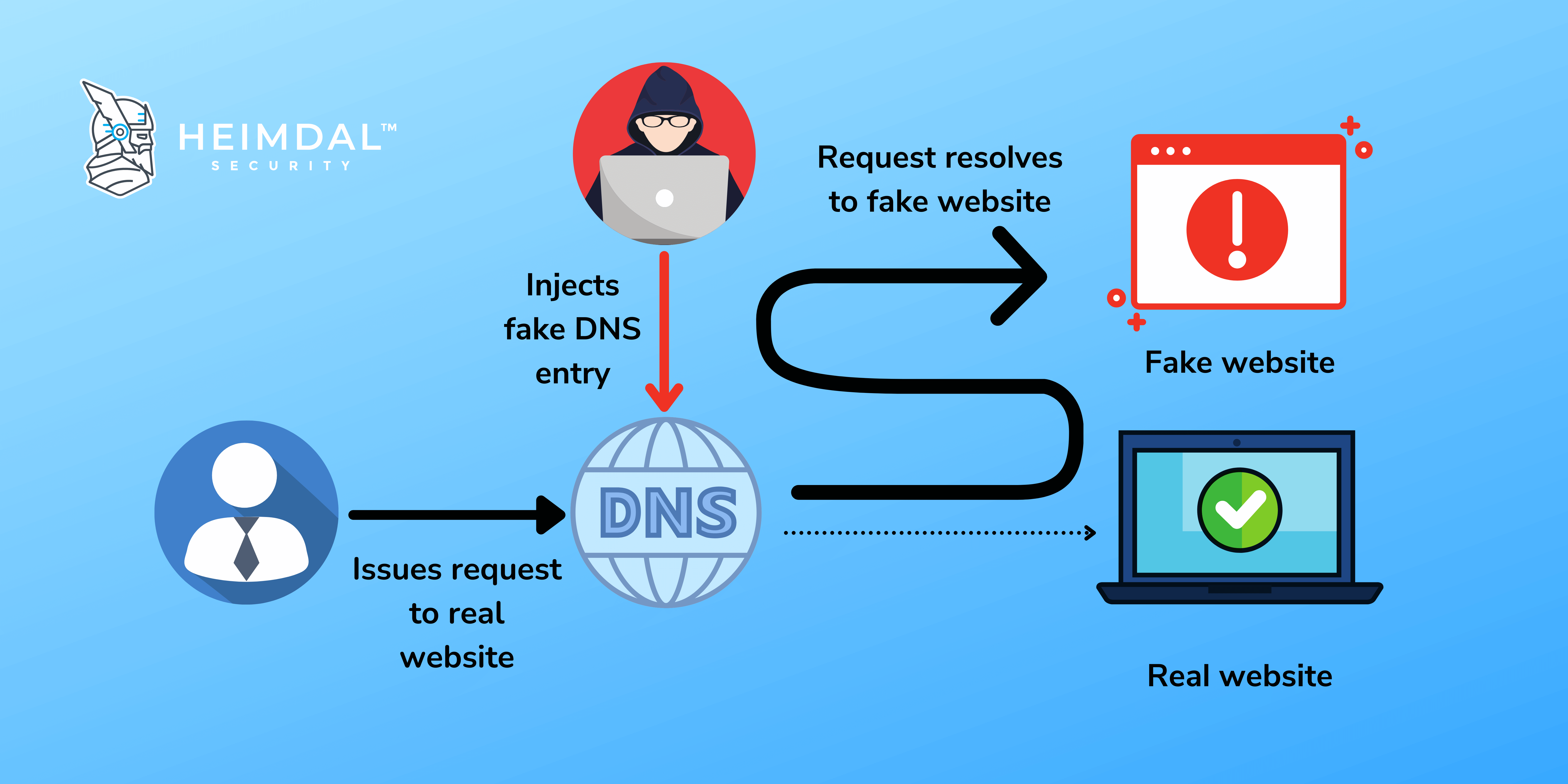 fake DNS entry
