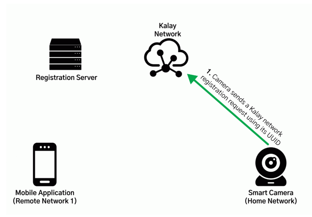 Image illustrating new IoT bug