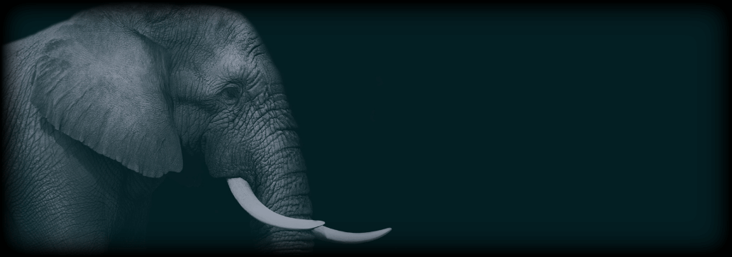 ModifiedElephant cover picture