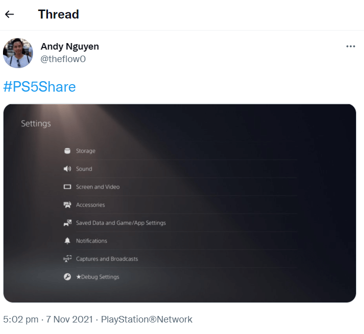 PS5 debug settings printscreen Twiitter picture