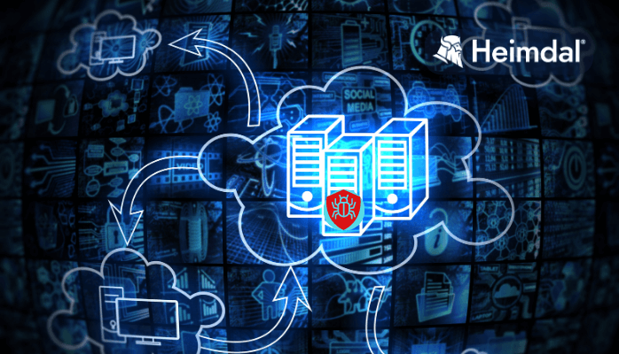 Command-and-Control Servers Explained. Techniques and DNS Security Risks